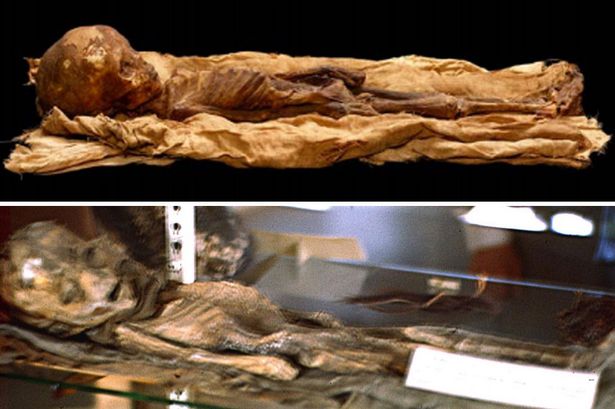 Slide Researcher Apologises Over Alien Mummy Mayhem