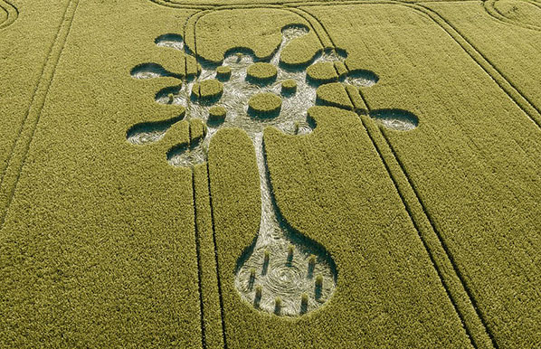 Crop Circle 'Shaped Like Virus' Discovered in Wiltshire Field