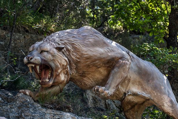 Scientists Attempt to Clone Extinct Ice Age Lion from Mummified Remains