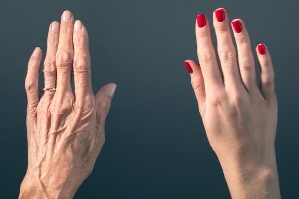 New Study Suggests Ageing is Reversible