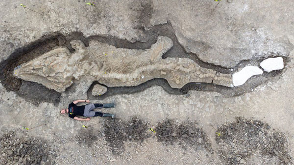Huge Fossilised 'Sea Dragon' Found in Reservoir