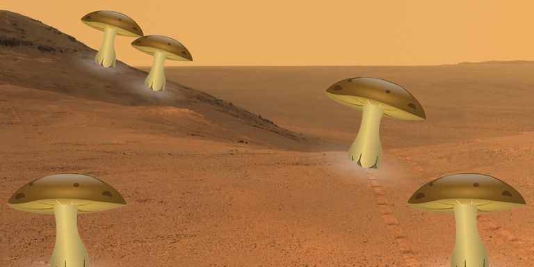 NASA Propose 'Mushroom House' Design for Mars Colonists
