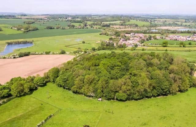 Ancient Neolithic Henge in the UK Goes up for Sale for £200,000