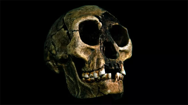 Could Human 'Hobbits' Still Be Hiding in Remote Indonesia?