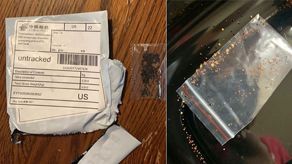 Kansas Residents Receive Mysterious Packets of Seeds in the Mail