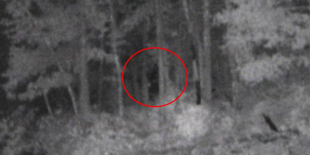 Shadowy Image Captured in North Carolina 'Ignites Bigfoot Fever'