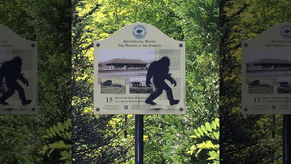 Shots Fired Near Campsite after Alleged Bigfoot Encounter