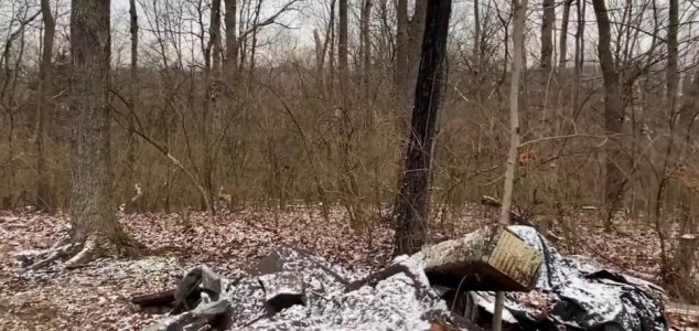 Terrifying 'Bigfoot' Screams Recorded in Ohio