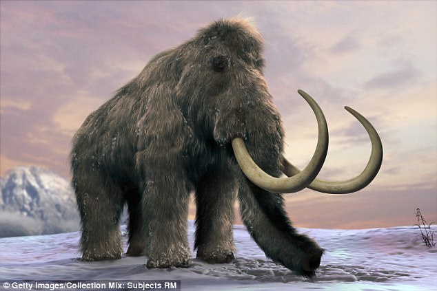 Paypal Founder 'Bankrolls' Woolly Mammoth Resurrection Project