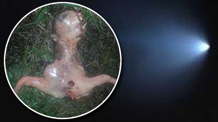 Ugly 'Alien' Found in California After Mass UFO Sighting