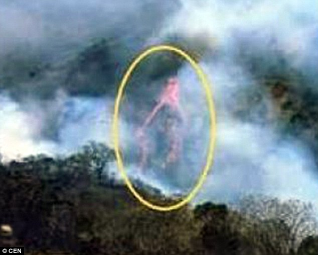 Priest Captures Image of The 'Virgin Mary' in a Forest Fire
