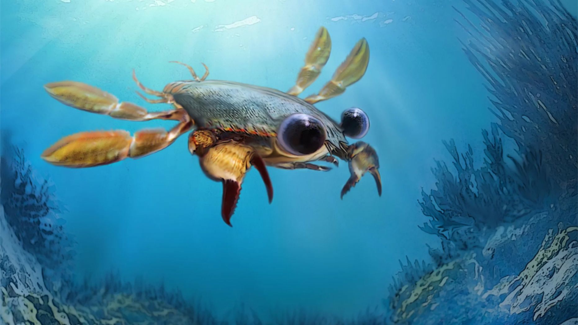 'Utterly Bizarre' Chimera Crab Fossil Discovered