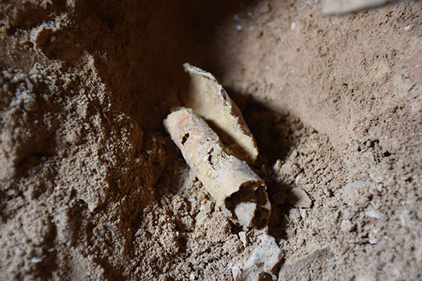 Archaeologists Discover Secret Twelfth Dead Sea Scroll Cave