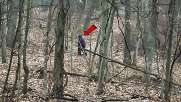 Pair Claim to Have Captured 'Bigfoot' on Camera in Ohio