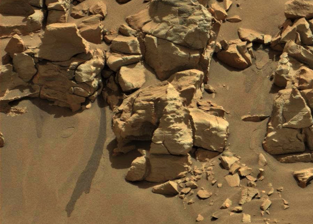 Did NASA Ignore Rover Photograph of Water on Mars?