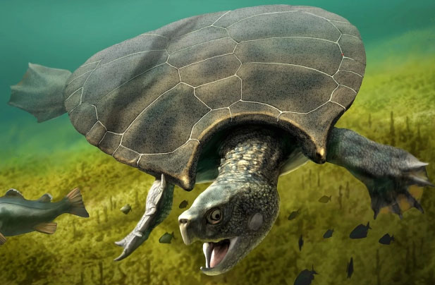 Scientist Claims Loch Ness Monster Could Be Ancient Sea Turtle