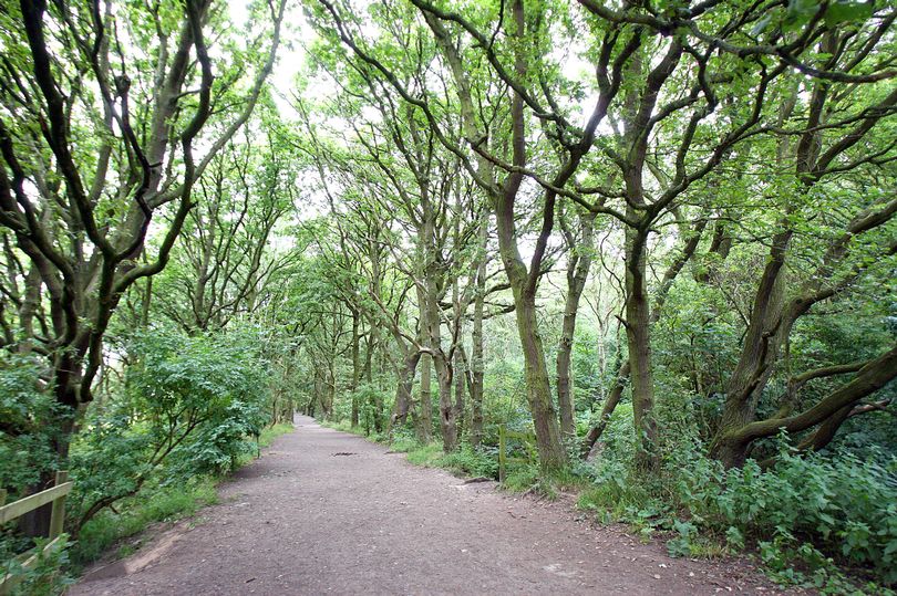 'Spine Chilling' Voices Heard by Walkers in 'Haunted' Woods