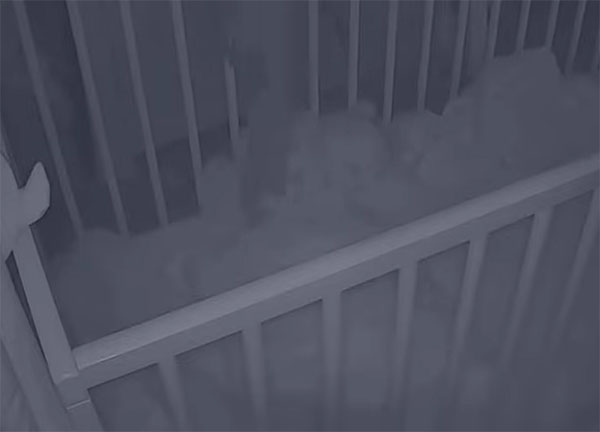 Baby Monitor Films 'Ghost Arm' Reaching into Crib?