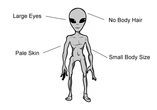 Grey Alien Diagram
