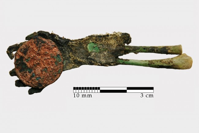 Tiny Green Mummified Hand Unearthed in Medieval Cemetery