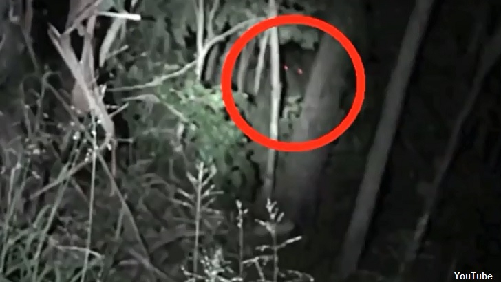 Glowing 'Yowie Eyes' Caught on Film?