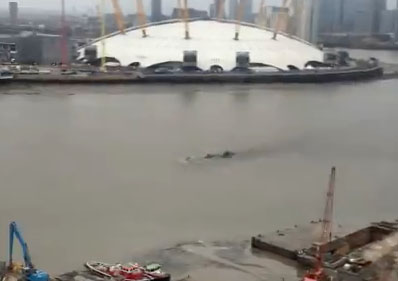 Strange 'Sea Monster' Filmed Swimming in London's Thames River