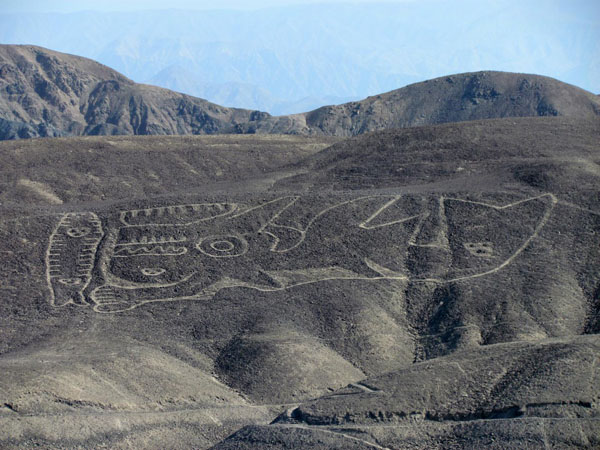 Ancient Nazca Line Pattern Confirmed to Depict Killer Whale