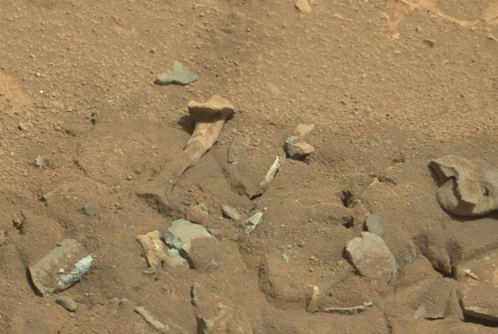 Ancient 'Fossilised Bone' Found on Mars?