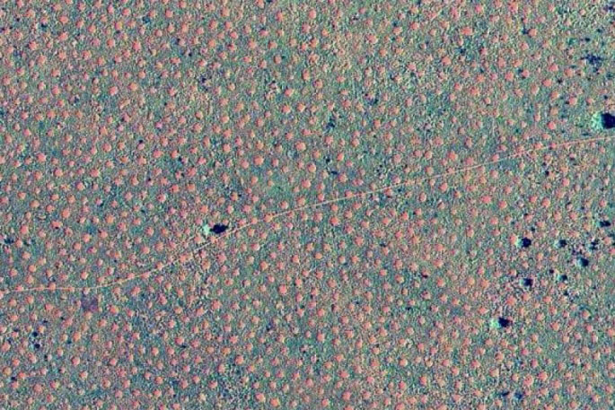 Western Australia's 'Fairy Circles' Are Not the 'Doing of Humans'