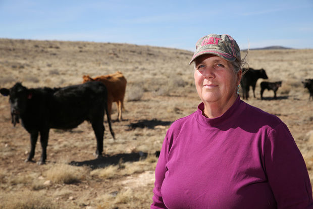 Arizona Rancher Struggles with Cow Mutilations