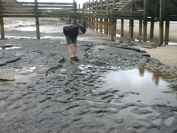 Million-Year-Old Human Footprints Found in the UK