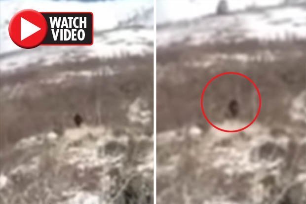 Possible 'Bigfoot' Captured on Camera in Utah?