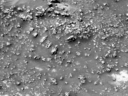 Mysterious Martian 'Cauliflower' May Be the Latest Hint of Alien Life
