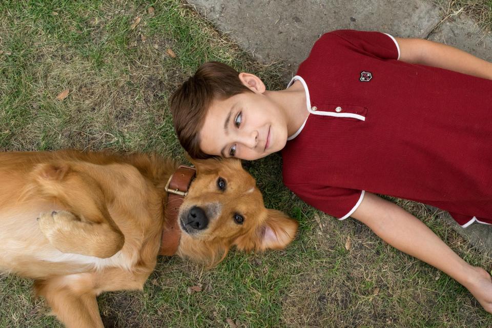 Writer of Dog Reincarnation Film Says 'Every Dog Has a Soul'