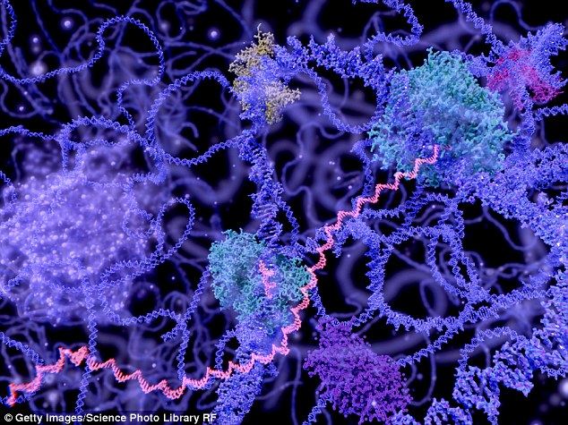 Forget DNA, Experts Say RNA Could Hold the Key to 'Eternal Life'