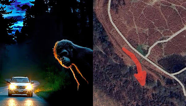 'Bigfoot' Sighted in UK Woodland?