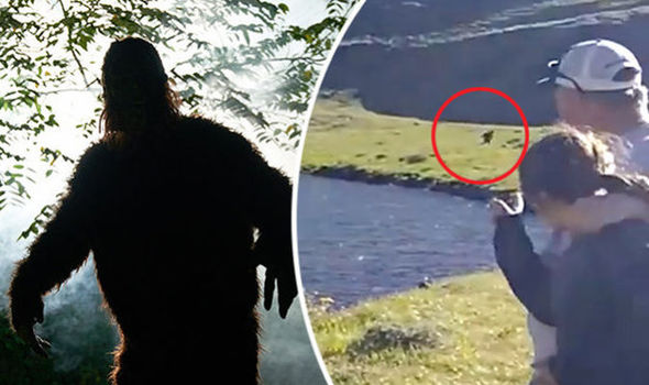 'Bigfoot' Allegedly Caught on Video