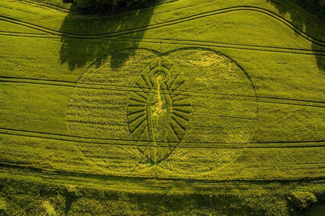 Crop Circle Sightings in Dorset Leave Spotters Baffled
