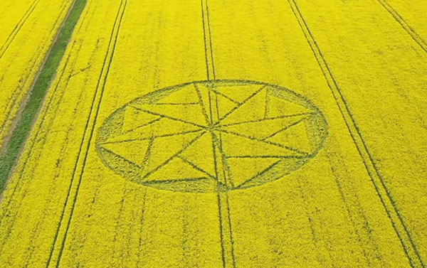 First UK Crop Circle of 2021 Found