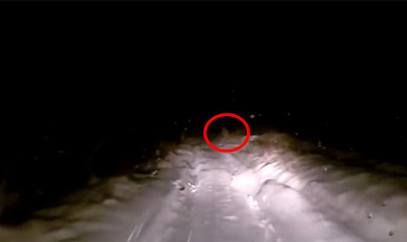 'Yeti' Spotted Lurking in Remote Wilderness Dashcam Video