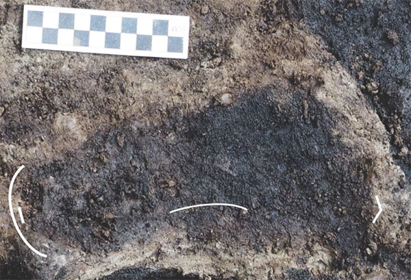 Archaeologists Find 'Oldest Human Footprints' in North America