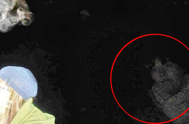 'Mother's Spirit Twin' Captured on Camera Following Ouija Session