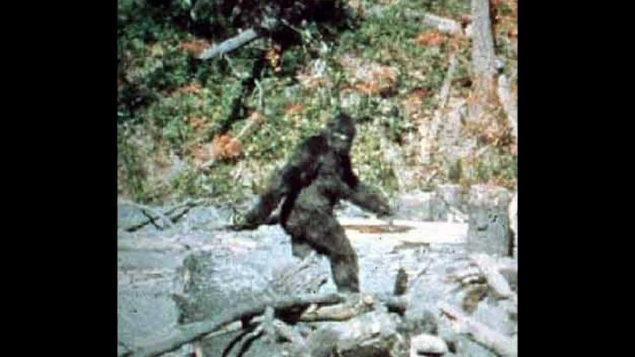 Patterson/Gimlin Bigfoot Film Proved as a Hoax, Claims Radio Show