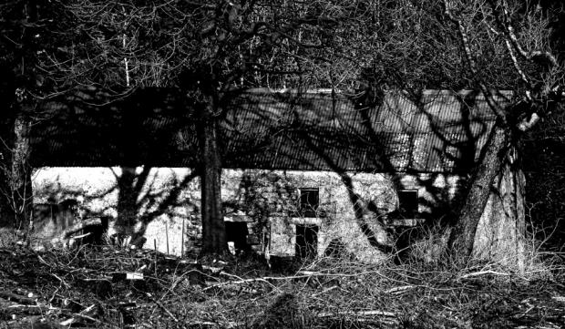 'Cooneen Ghost House' Uncovered in Irish Forest