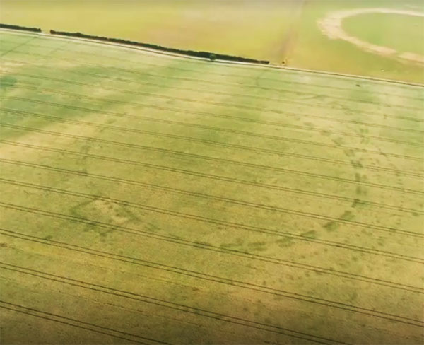 Drought Reveals Ancient 'Henge' Monument Buried in Ireland