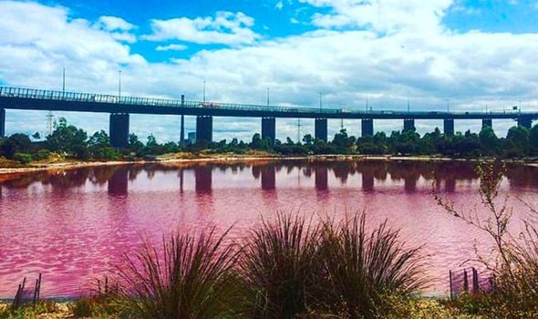 Australia Lake Turns Bright Pink in Strange Natural Phenomenon