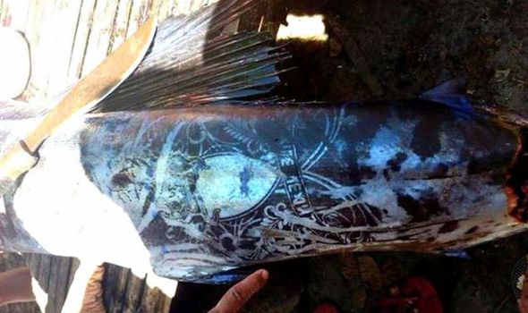 Weird 'Tattooed Fish' Pulled From the Sea