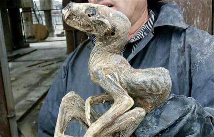 Mummified Remains of 'Mystery Monster' Found in Yakutia