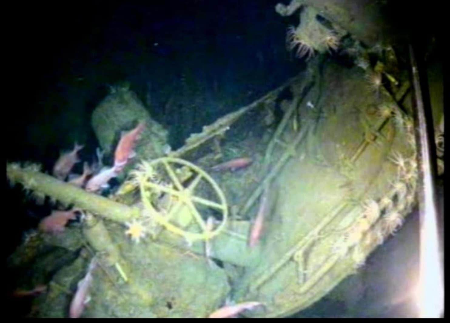 Missing Submarine Found 103 Years After Vanishing Mysteriously