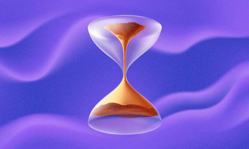 Physicists 'Reverse Time' Using Quantum Computer